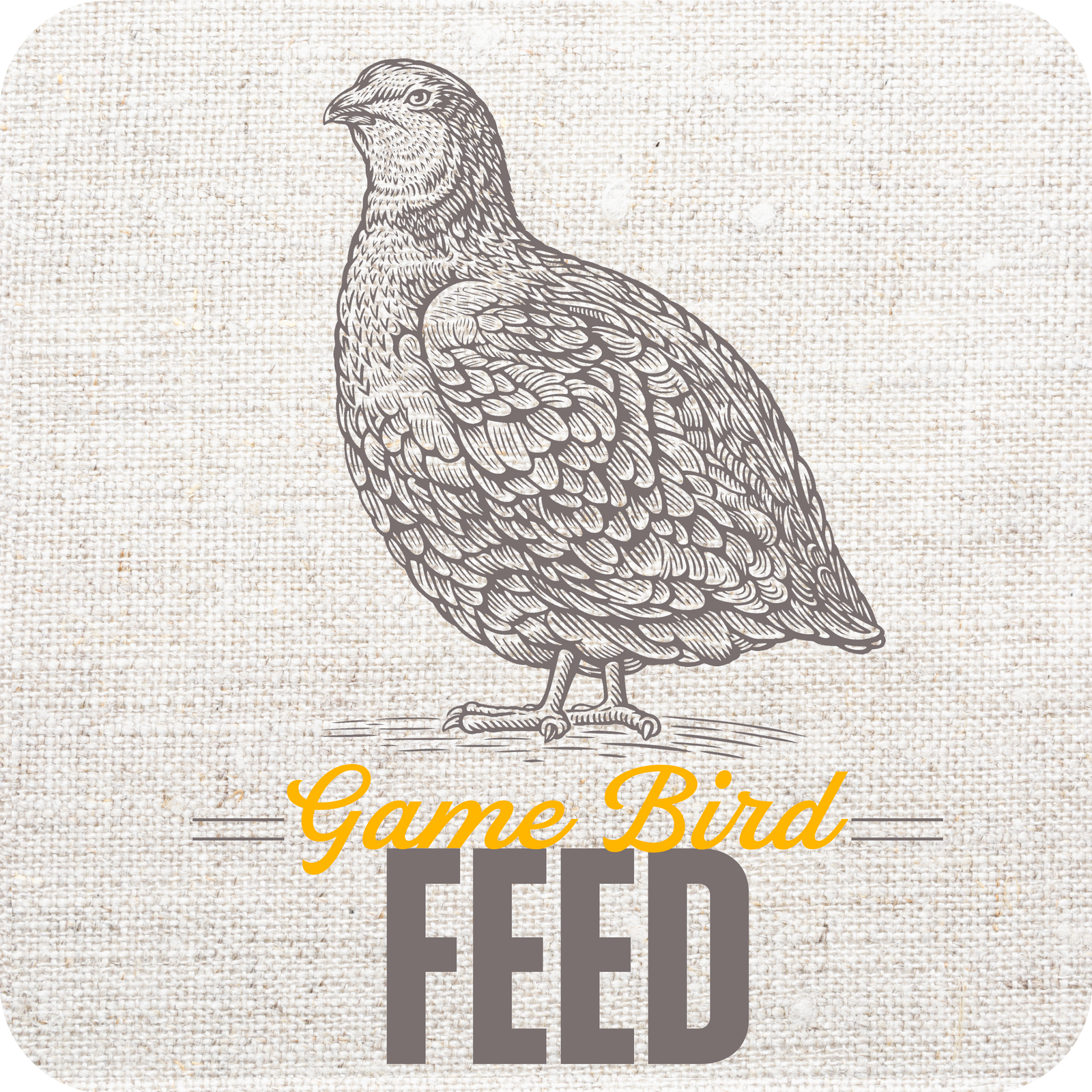 Game Bird Feed by Leland Mills | Image of a vintage line drawing of game bird quail
