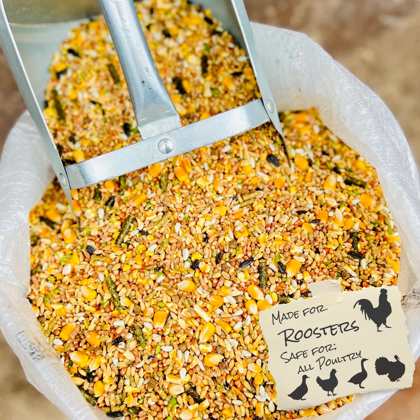 Rooster Feed by Leland Mills