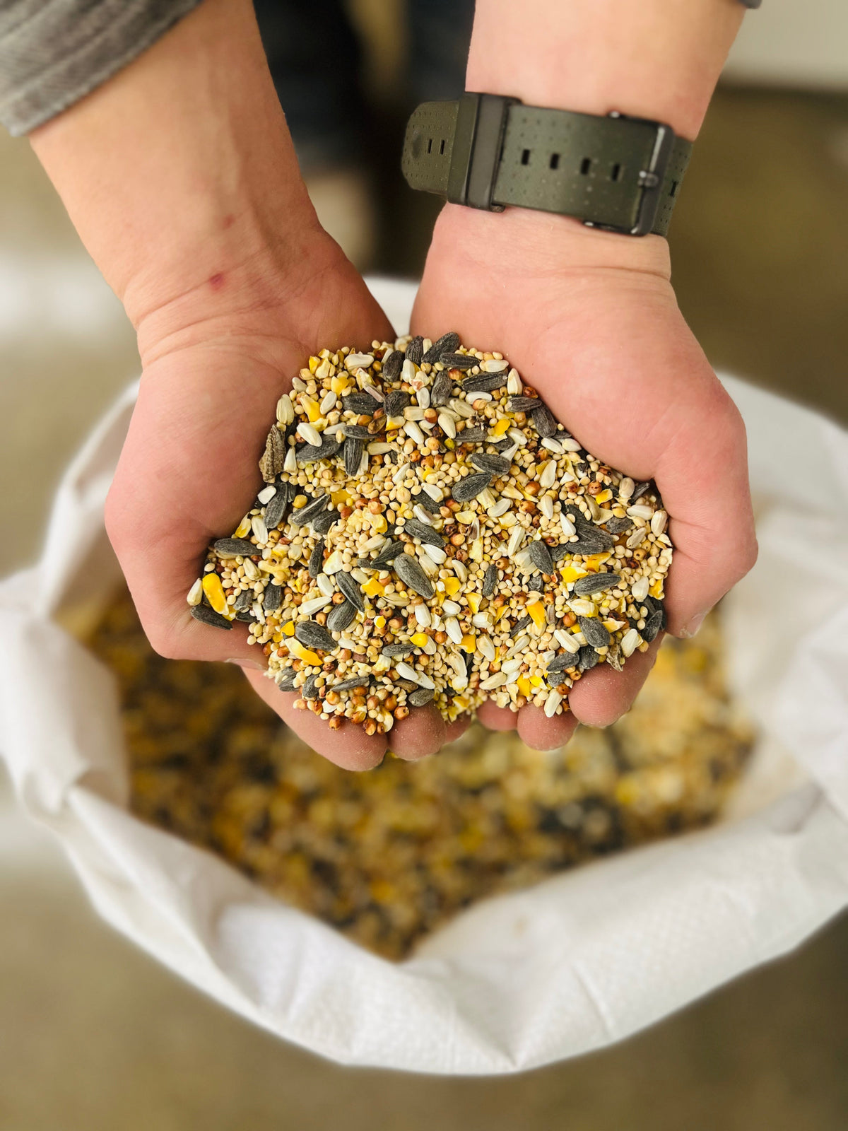 Wild Bird Seed